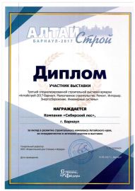 Диплом Алтайстрой-2017