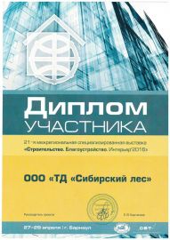 Диплом участника
