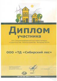Диплом участника